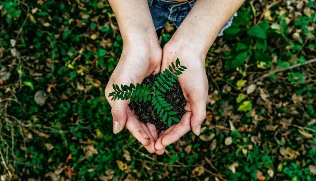 Journée de la Terre : Construire un avenir durable en matière de stockage d'énergie